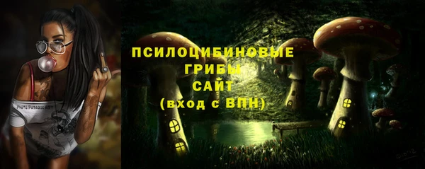 ГАЛЛЮЦИНОГЕННЫЕ ГРИБЫ Армянск