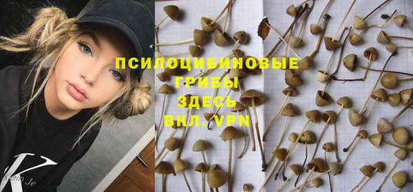ГАЛЛЮЦИНОГЕННЫЕ ГРИБЫ Армянск