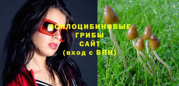 ГАЛЛЮЦИНОГЕННЫЕ ГРИБЫ Армянск