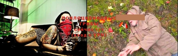 ГАЛЛЮЦИНОГЕННЫЕ ГРИБЫ Армянск