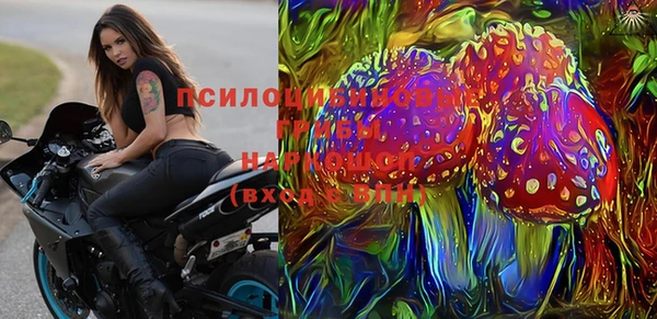 ГАЛЛЮЦИНОГЕННЫЕ ГРИБЫ Армянск
